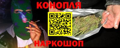 индика Ирбит