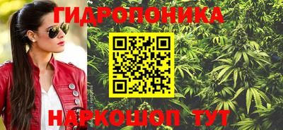 индика Ирбит