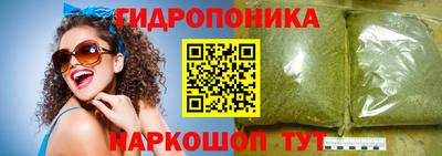 индика Ирбит