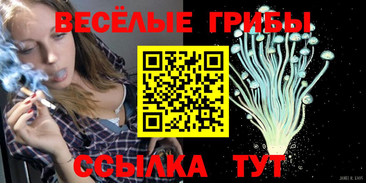 Губаха  Псилоцибиновые грибы Cubensis  Вход с VPN 