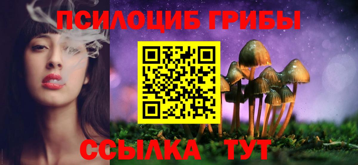 Псилоцибиновые грибы Psilocybine cubensis Губаха